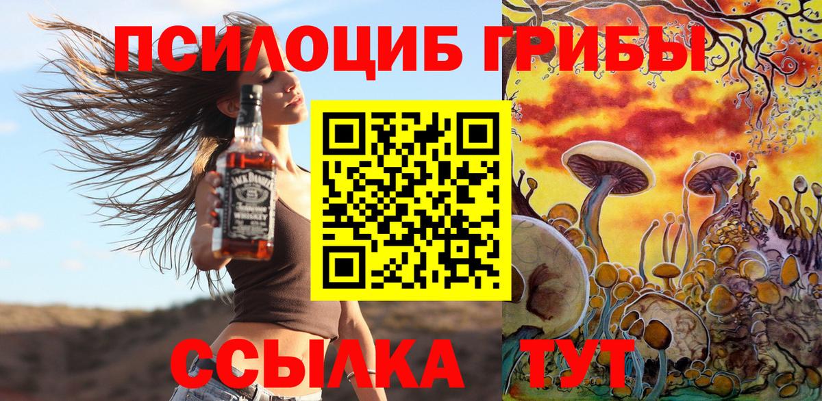 Донецк  хочу   Вход с VPN  Галлюциногенные грибы Magic Shrooms 